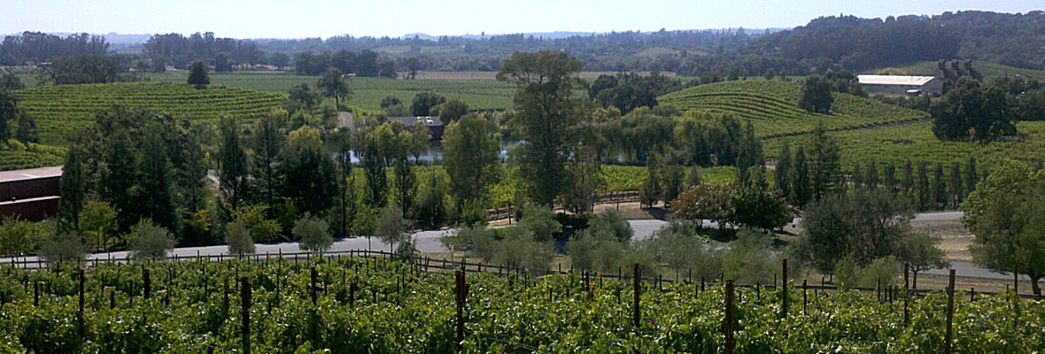 lucky's wine tours